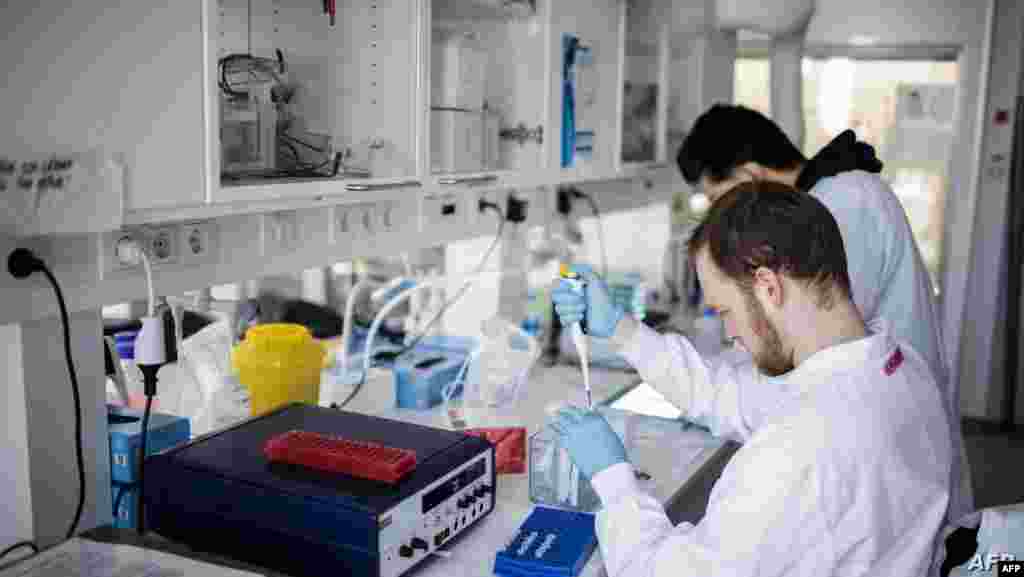 덴마크 코펜하겐 대학의 실험실에서 연구원들이 신종 코로나바이러스 감염증(COVID-19) 백신 실험을 하고 있다. 