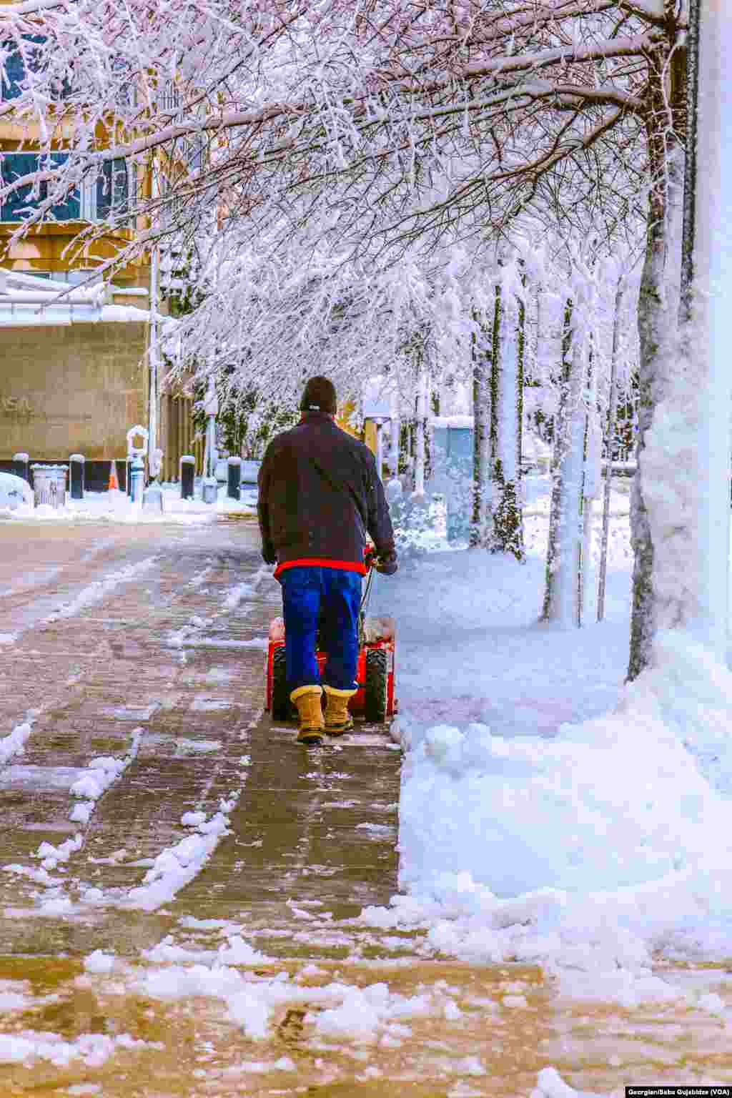 snow in D.C. - January 3.2022