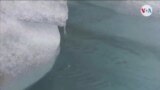 Glaciares del mundo se derriten rápidamente