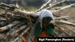 Seorang pekerja memanen tebu di perkebunan negara di Sidoarjo, Jawa Timur, 3 Agustus 2011. (Foto: REUTERS/Sigit Pamungkas)