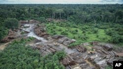 This May 8, 2018 photo released by the Brazilian Environmental and Renewable Natural Resources Institute (Ibama) shows an illegally deforested area on Pirititi indigenous lands as Ibama agents inspect Roraima state in Brazil's Amazon basin. (Felipe Werneck/Ibama via AP)