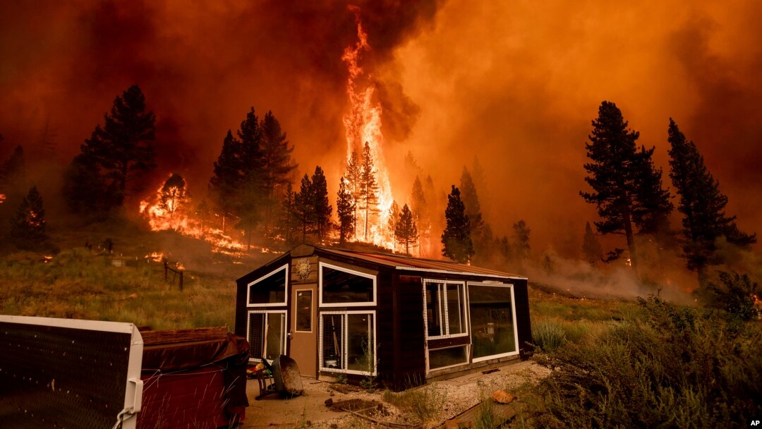 Kebakaran hutan yang dijuluki "The Tamarack Fire" berkobar di belakang sebuah rumah kaca di komunitas Markleeville di Alpine County, California, 17 Juli 2021. (Foto: AP/Noah Berger)