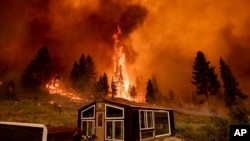 Природный пожар «Тамарак» в Калифорнии. 17 июля 2021 года. 