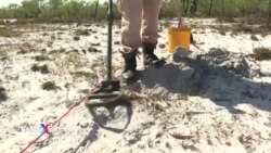 Mỹ tạm dừng viện trợ, ảnh hưởng đến việc rà phá bom mìn ở Việt Nam 