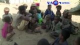 Manchetes Africanas 16 Janeiro 2017: Madagascar, a seca e a fome