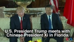 Trump and Xi Meet in Florida