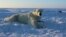 FILE - This U.S. Geological Survey photo shows a polar bear wearing a GPS video-camera collar on a chunk of ice in the Beaufort Sea, April 15, 2015. Kaktovik, a tiny Alaska Native village, has experienced a boom in tourism in recent years as polar bears spend more time on land than on diminishing Arctic sea ice.