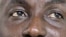 Samson Siasia