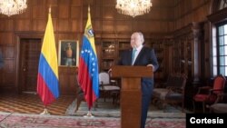 El ex embajador de Venezuela en Colombia, designado por Juan Guaidó, se pronunció tras su destitución de parte del gobierno encargado.