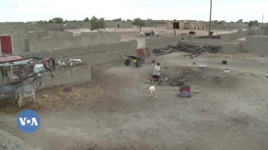Léré dugu la, Timbuktu mara la, bolimafen fɔlɔw donna dugu kɔnɔ, kalo 1 ni ko, dankarili kɛlen kɔfɛ 