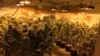 54名中國人非法種植大麻被逮捕