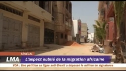 Migration intra-africaine
