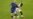 16x9 Image