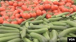 Perancis kini menahan impor bibit sayuran asal Inggris untuk mencegah kemungkinan wabah E.Coli.