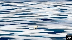 FILE - In this July 22, 2017, photo, a polar bear stands on the ice in the Franklin Strait in the Canadian Arctic Archipelago. 