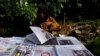 Seorang penjual koran dengan berbagai koran di Jakarta, 10 November 2016 sebagai ilustrasi. (Foto: Reuters)