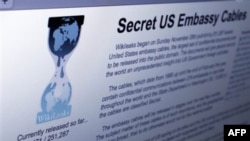 Wikileaks: Amerika Casus Uydu Geliştiriyor