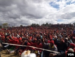 Abasekeli bomanyano weMDC Alliance besemhlanganweni kaMnu Nelson Chamisa eGweru