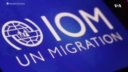 ملګري ملتونه وایي پاکستان په تیرو دریو میاشتو نږدې شل زره افغان کډوال نیولي دي.