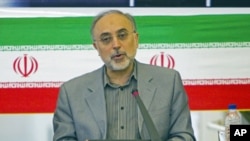 Iranian Foreign Minister Ali Akbar Salehi speaks with ambassadors during a session in Tehran, July 10, 2011 (file photo)