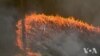 Firefighters Scramble to Contain Wildfire Near Sydney