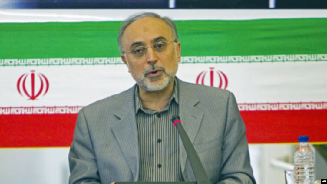 Iranian Foreign Minister Ali Akbar Salehi speaks with ambassadors during a session in Tehran, July 10, 2011 (file photo)