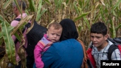 8일 헝가리 로즈케 마을 검문소 인근에서 난민들이 경찰을 피해 도망하고 있다.