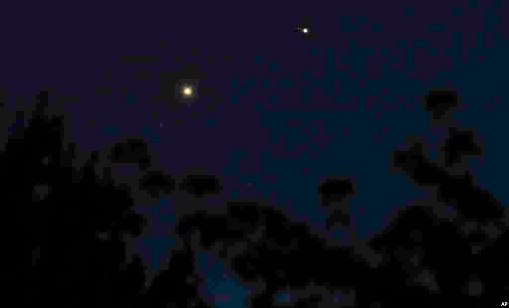 The planets Venus, left, and Jupiter, right, with three of its moons visible, appear close to each other in the sky above tree branches after dusk Wednesday, July 1, 2015, in Tacoma, Wash.