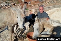 In this undated photograph  provided by Mashala Shelter, Hussein Hamza pets animals astatine  his carnal  structure  successful  Kfour, southbound  Lebanon. (Mashala Shelter via AP)