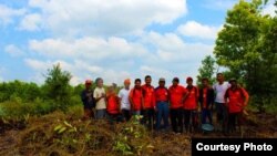 Anggota organisasi Gafatar menyiapkan lahan pertanian di Kalimantan pada tahun 2013. (Foto: dok.)