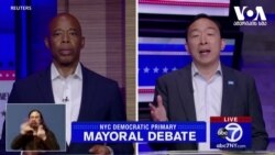 პრაიმერი ნიუ-იორკში