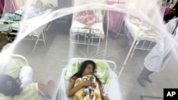 Seorang pasien pulih dari serangan demam berdarah di sebuah rumah sakit di Luque, Paraguay, 5 Februari 2016. (Foto: AP)