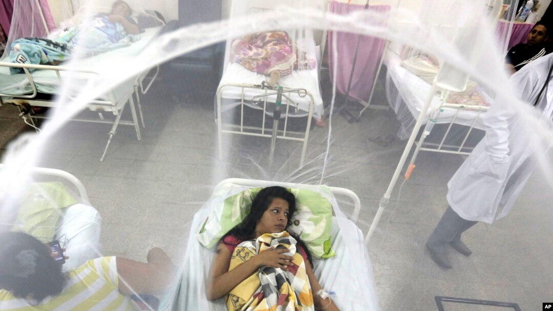 Seorang pasien pulih dari serangan demam berdarah di sebuah rumah sakit di Luque, Paraguay, 5 Februari 2016. (Foto: AP)