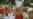 Activists Hold Little Hope for 2010 Elections in Burma