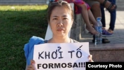 Trước khi bị bắt, blogger Mẹ Nấm đã nhiều lần xuống đường phản đối công ty Formosa Hà Tĩnh và kêu gọi nhà nước minh bạch.