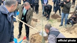 ABŞ Səfirliyi yerli işçilərinin şərəfinə ağaclar ianə edib 