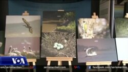 Ekspozitë me pasuritë e faunës shqiptare