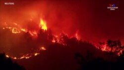 Իսպանիայում անտառային հրդեհները շարունակվում են արդեն վեց օր, ինչի արդյունքում հարյուրավոր մարդիկ տեղահանվել են