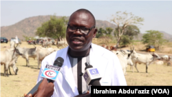Lokacin Kaddamar Da Sabuwar Allurar Rigakafin Dabbobi A Adamawa