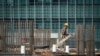 FILE - A foreign worker carries a plate on a property construction site in Kuala Lumpur, on Oct. 22, 2019.