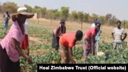 Muzarabani Villagers