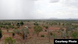 New research links gradual greening of arid areas like Australia’s outback to increasing concentrations of atmospheric carbon dioxide. (Photo by Bruce Doran)