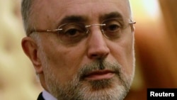 FILE - Ali Akbar Salehi, head of Iran's atomic energy organization