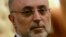 FILE - Ali Akbar Salehi, head of Iran's atomic energy organization
