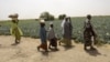 Fermiers zimbabwéens expatriés au Nigeria: les derniers vétérans produisent coûte que coûte