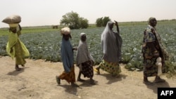 FILE - Women and children walk past fields of Food and Agriculture Organization-supported farms at Jere community, 11 kilometers from Maiduguri, in Borno state, northeast Nigeria, April 6, 2017.