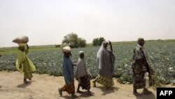 Des femmes et des hommes avec des produits fermiers dans l'Etat de Borno, au nord du Nigeria, le 6 avril 2017.