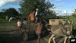 India, Brazil, South Africa, Lead Effort Against Child Labor
