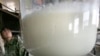 Cảnh sát Trung Quốc bắt nghi can trong vụ sữa nhiễm độc