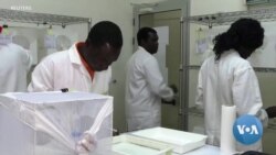 Scientists Waging War Against Malaria Stumble into Bioethics Debate